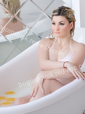 София — Богородицк
